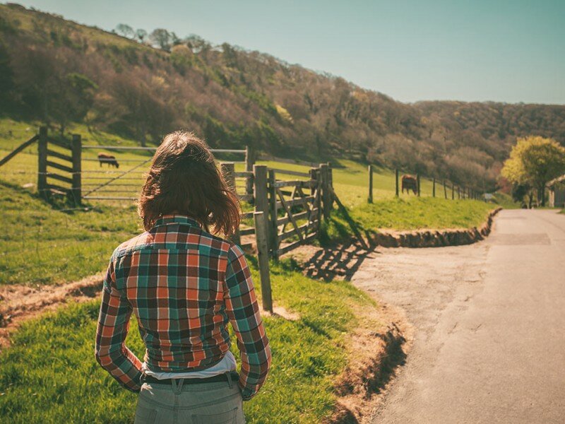 qode interactive strata